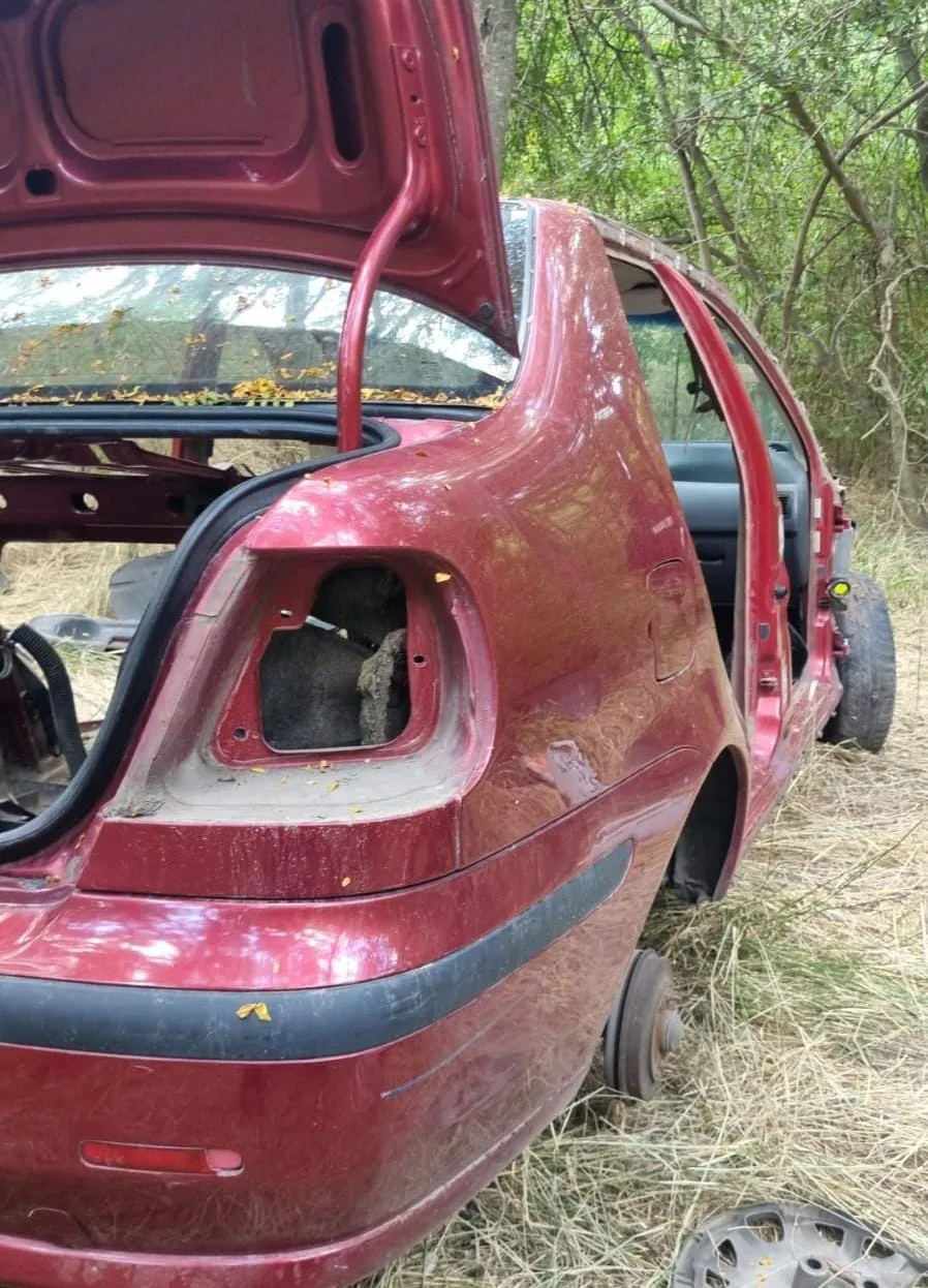 WhatsApp Image 2026-02-02 at 12.36.38 (1)