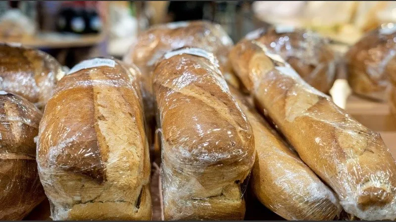 _dsc3558.jpg_1756841869