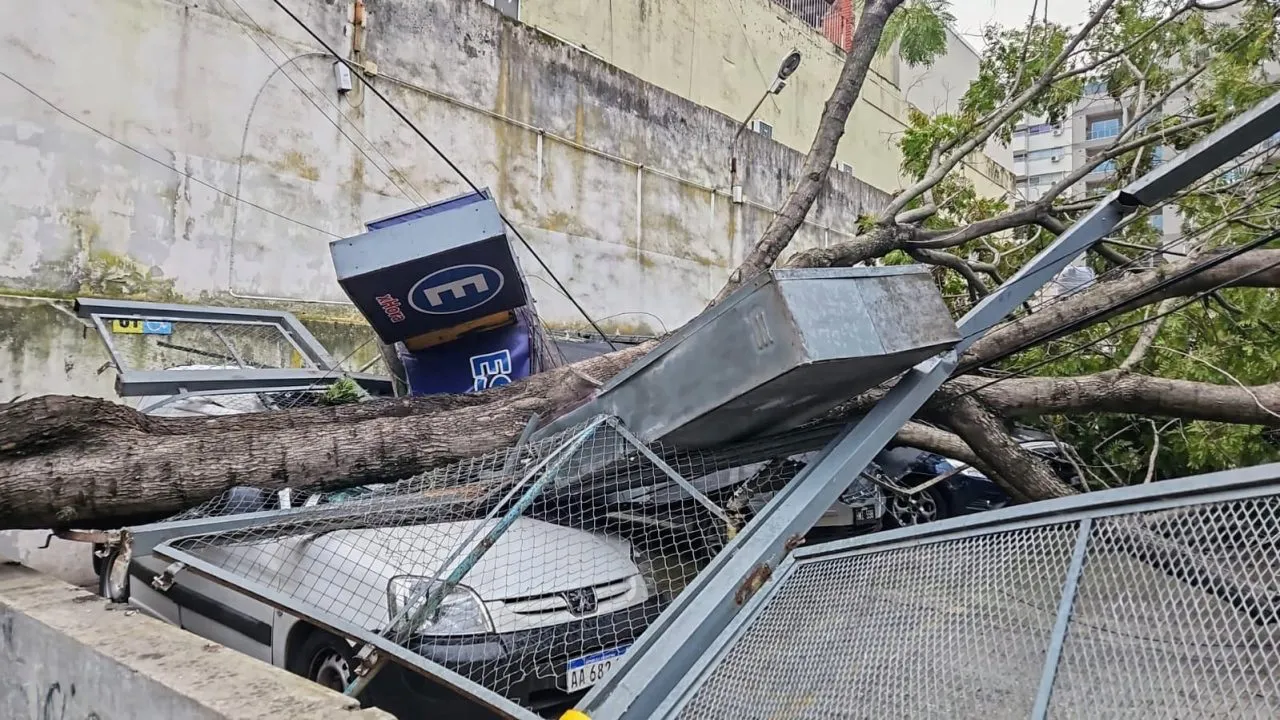 WhatsApp-Image-2024-05-08-at-08.55.29-1280x720