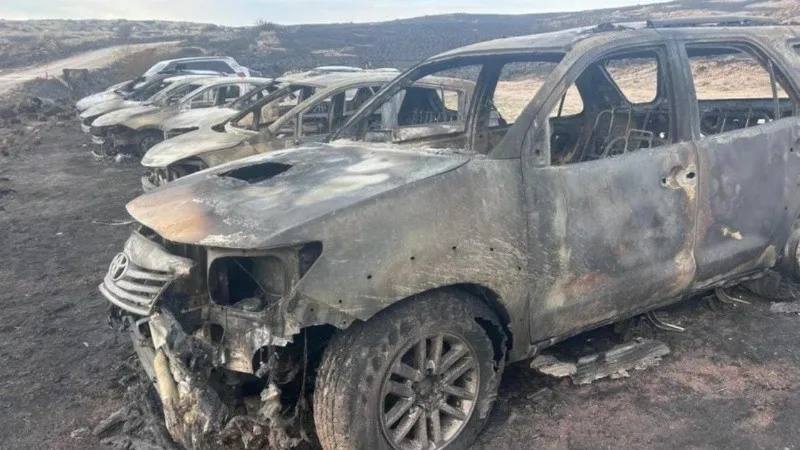 image_x10x.jpg_1756841869