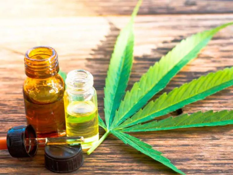 canabbis-gobierno-1-768x576