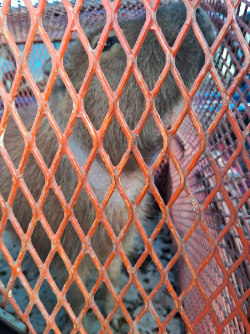 whatsapp_image_2024-07-12_at_09_23_36.jpeg_347084436