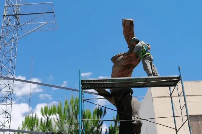 pino3_fa-transformed-768x510