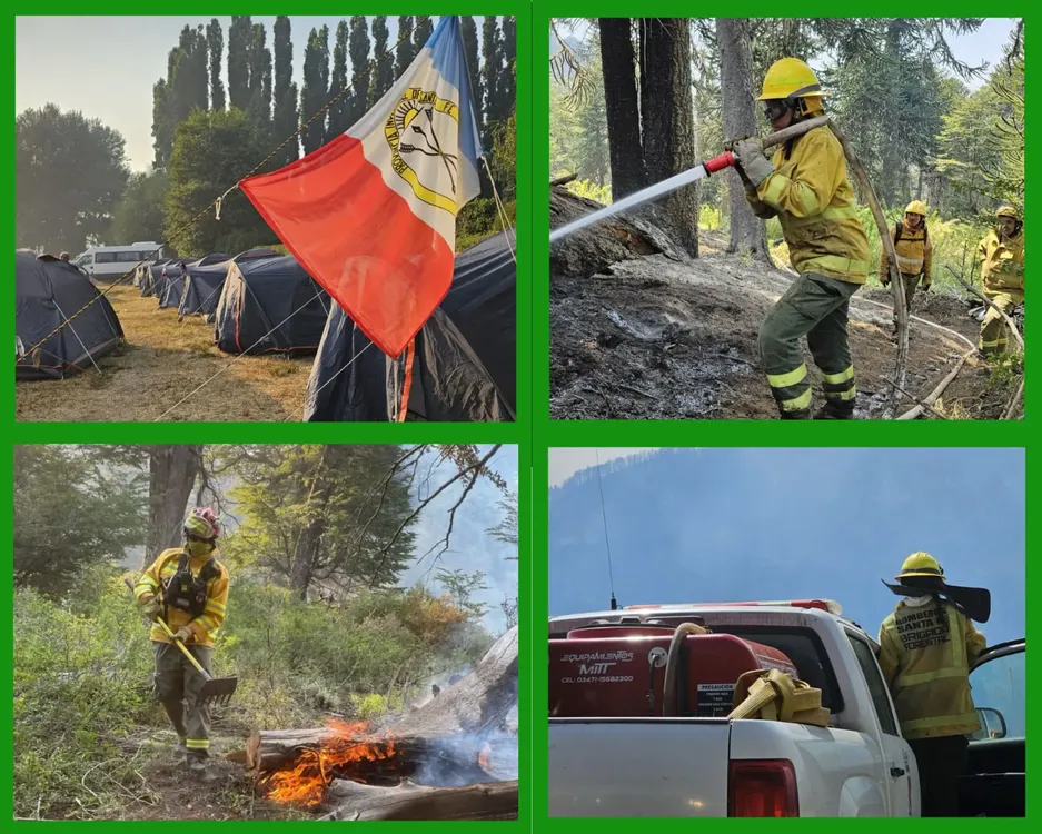 WhatsApp Image 2025-02-17 at 22.10.38