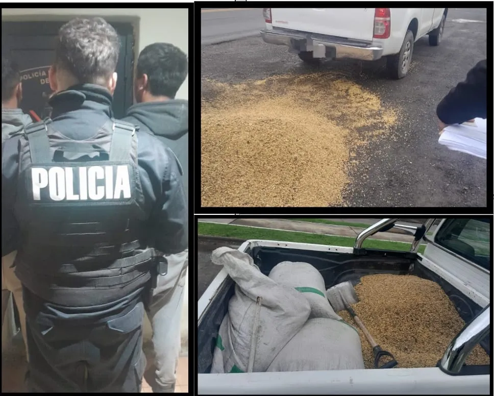 WhatsApp Image 2024-04-01 at 10.38.32 PM