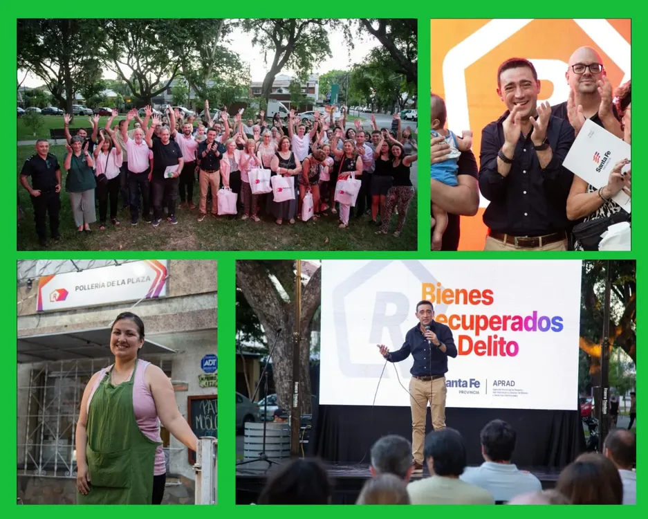 WhatsApp Image 2025-12-19 at 19.03.53