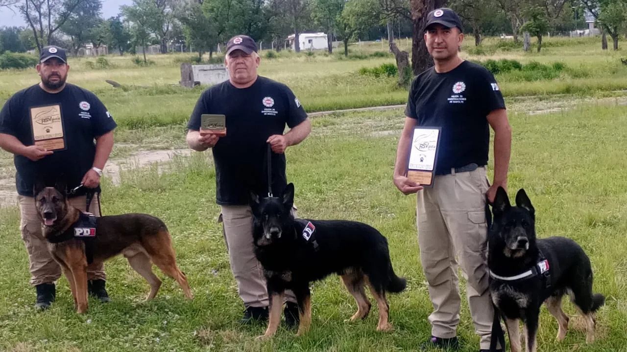 perros PDI