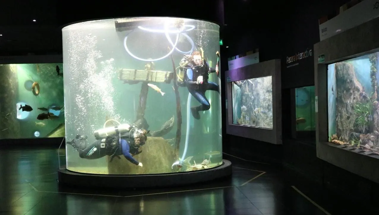 WhatsApp Image 2026-01-07 at 19.59.35