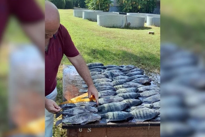 DIaVa1iYF_870x580__1