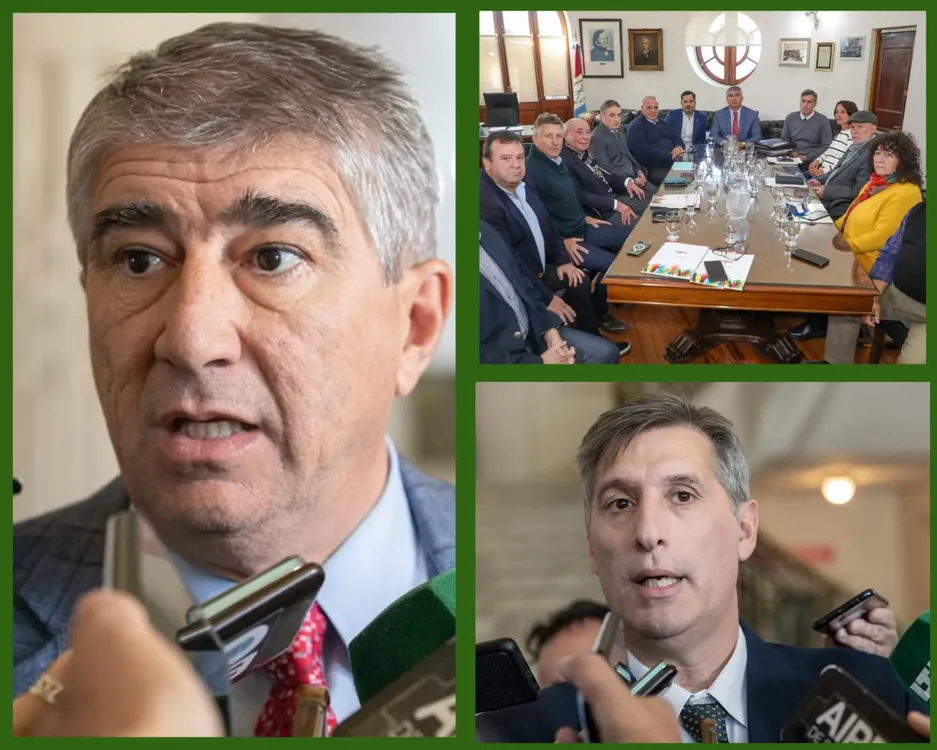 WhatsApp Image 2024-05-20 at 19.55.11