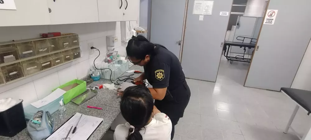 Imagen de WhatsApp 2023-01-31 a las 09.53.341