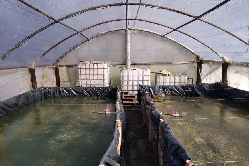 f-b3swgCV_870x580__1