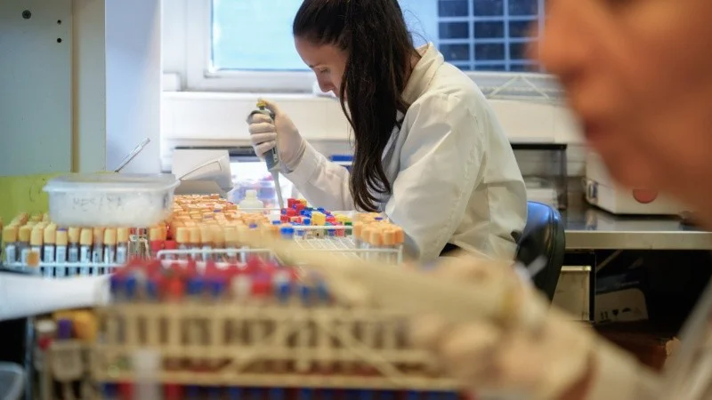 vacunacion_gripe_y_dengue.jpg_2045344936 (1)