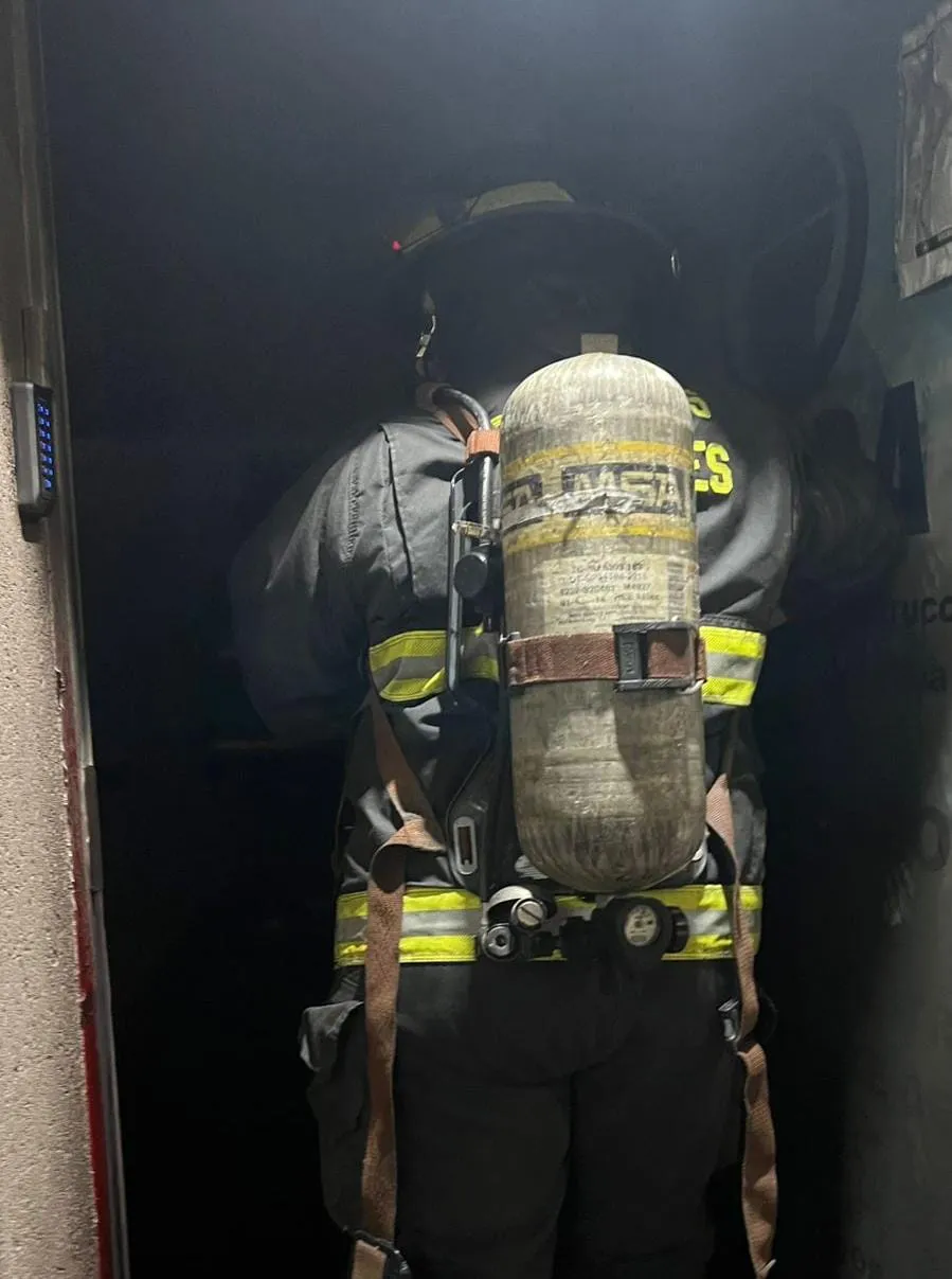 WhatsApp Image 2026-02-13 at 15.54.55