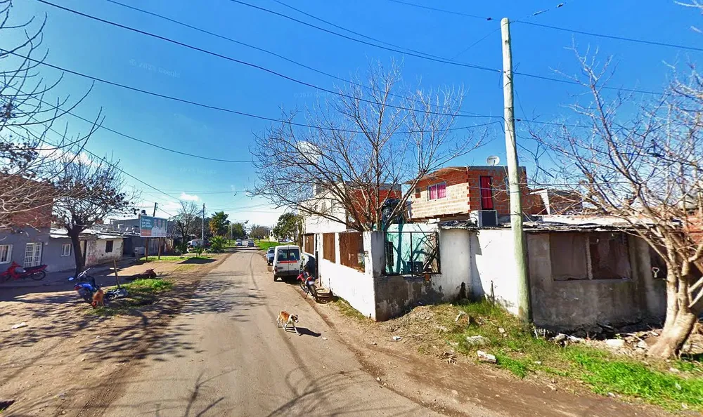 Julio-Vanzo-y-Las-Palmeras