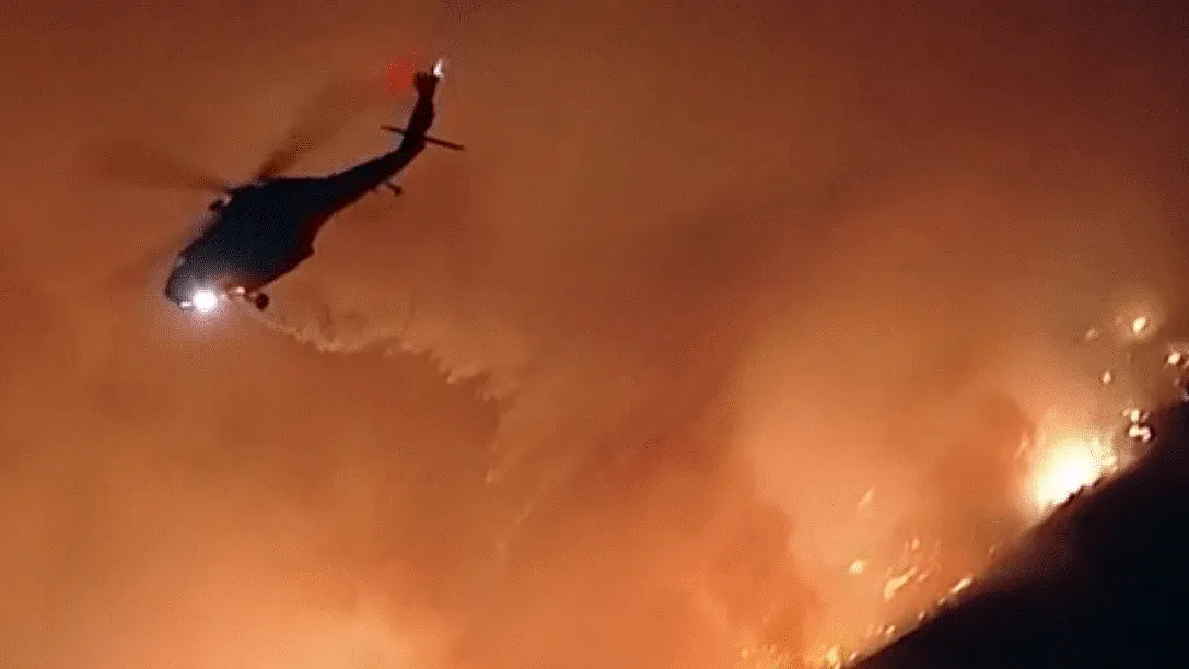 Proyecto-nuevo-2025-01-24T112431.803