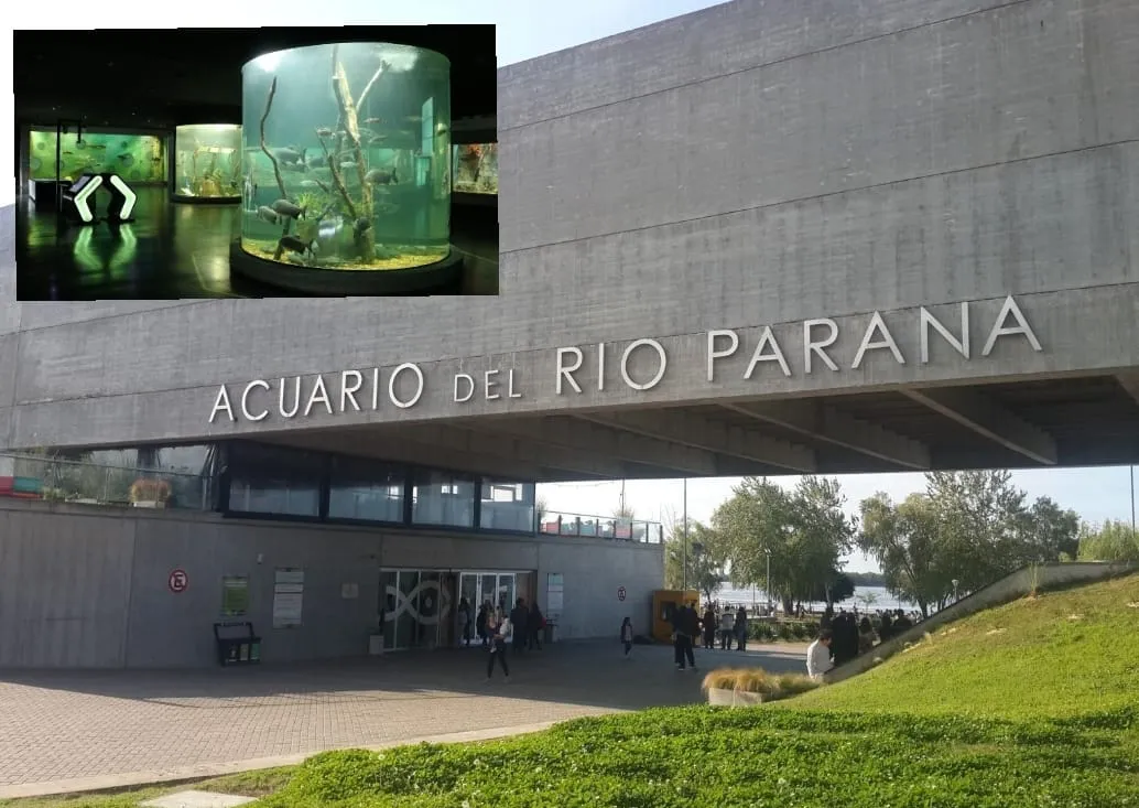 WhatsApp Image 2026-01-11 at 22.41.54