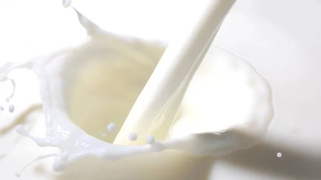 leche