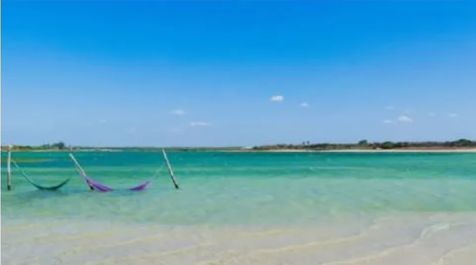 Screenshot_20241105_173414_Chrome