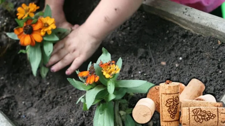 corcho-jardonq-768x432