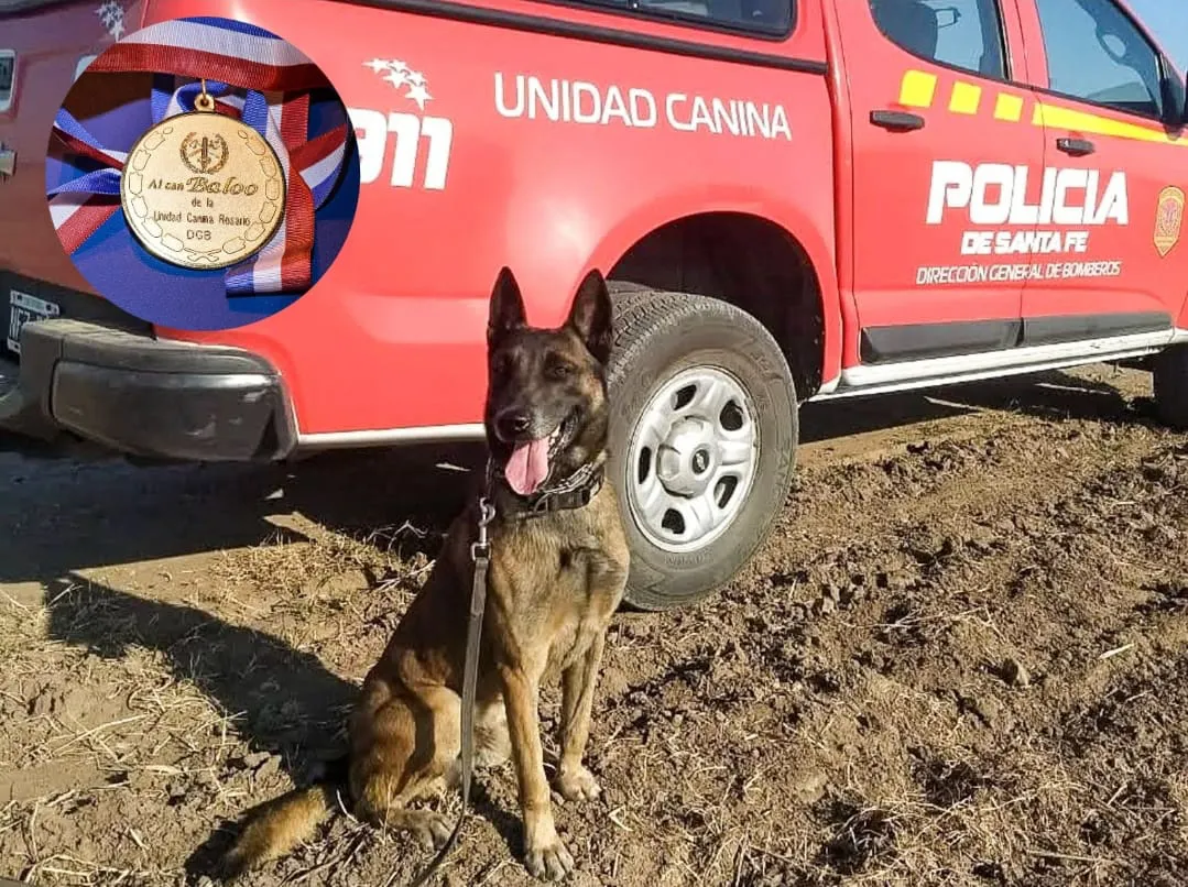 WhatsApp Image 2025-01-19 at 11.34.15