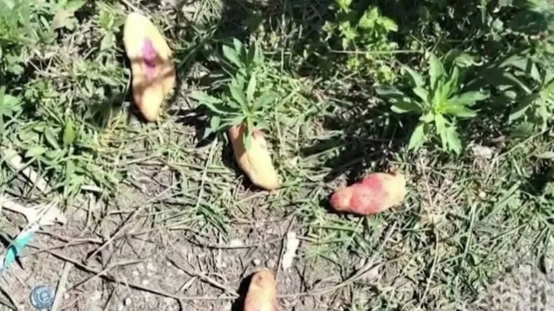 adsadsds.jpg_674994428