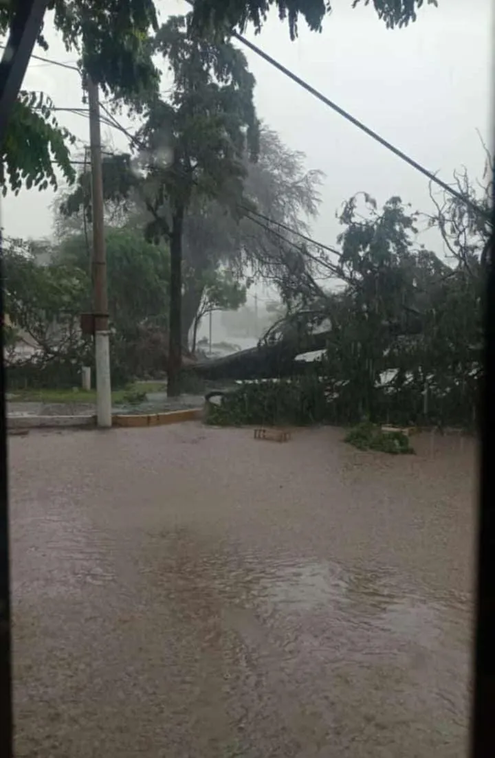 421656809_907952097908871_6209568959565593960_n