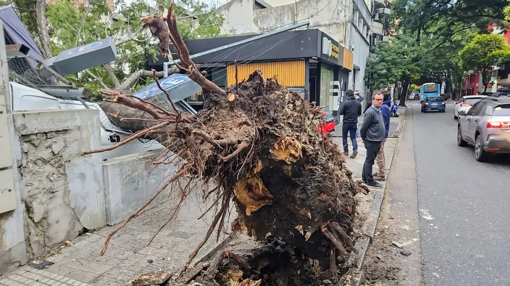 WhatsApp-Image-2024-05-08-at-08.55.30