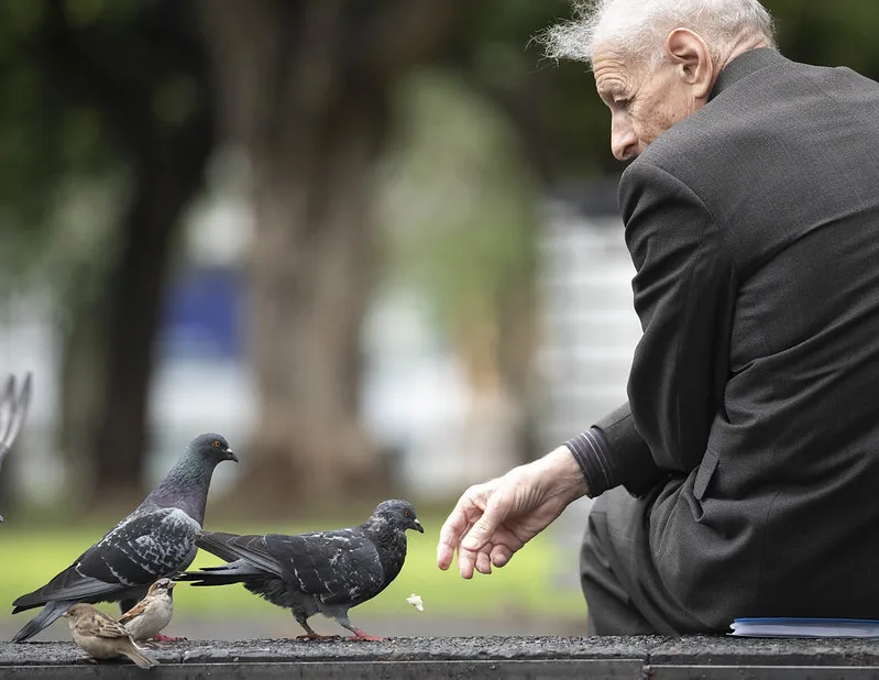 49807713532_a96ba4e45e_c