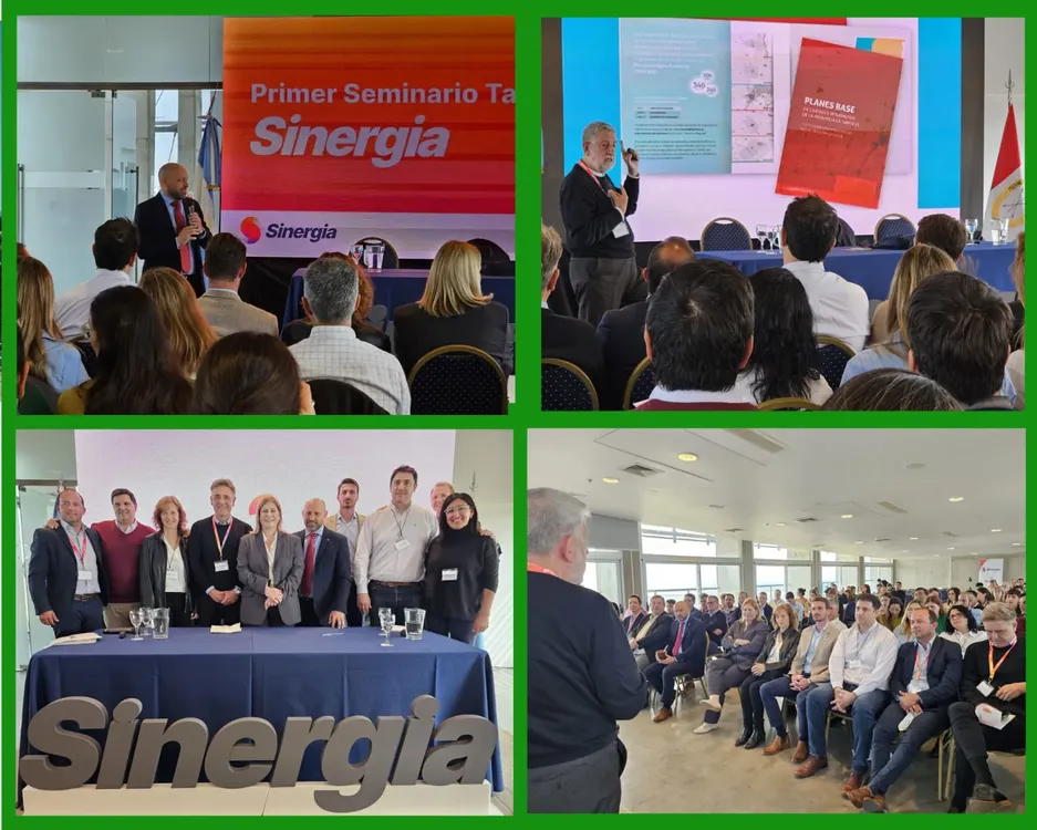 WhatsApp Image 2024-09-16 at 22.51.52