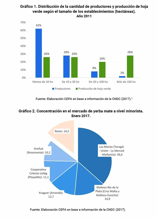 yerba-mate-grafico-1