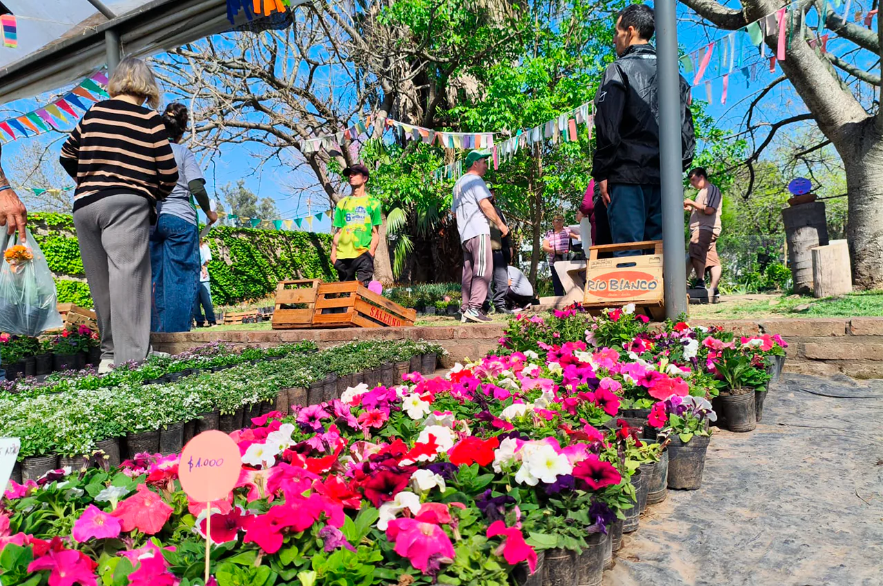 vivero1