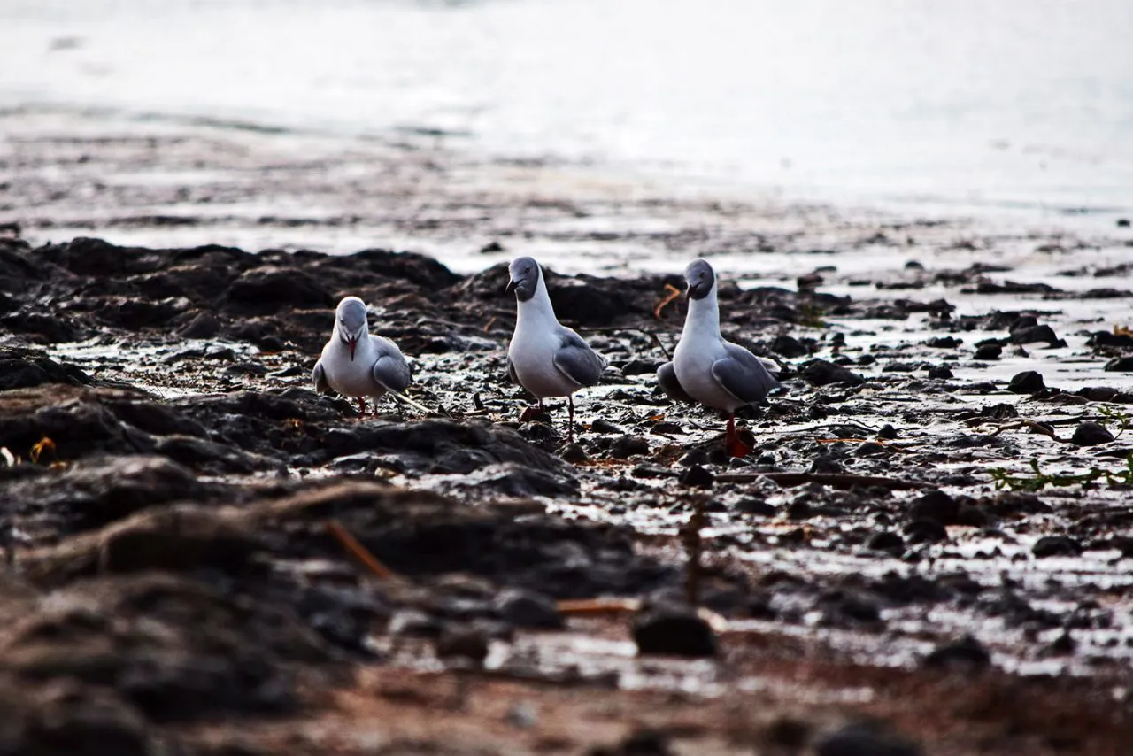 202194898_10225967641880470_637222692926720962_n-1280x854