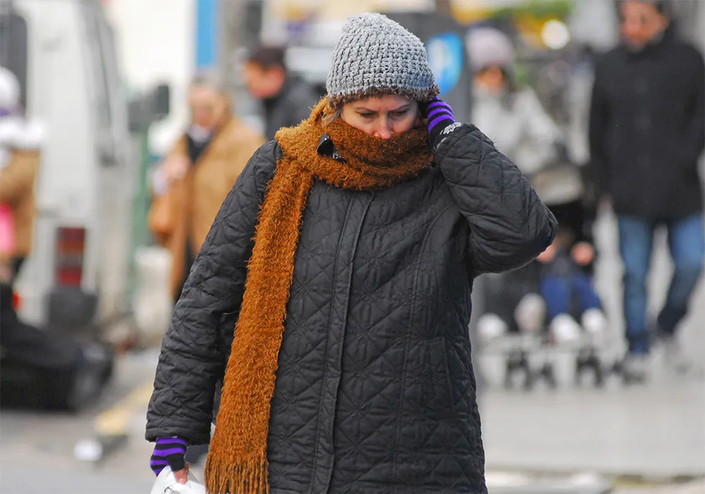 frio-1