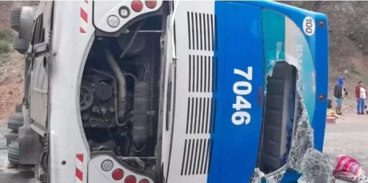 WhatsApp Image 2024-01-20 at 16.07.33