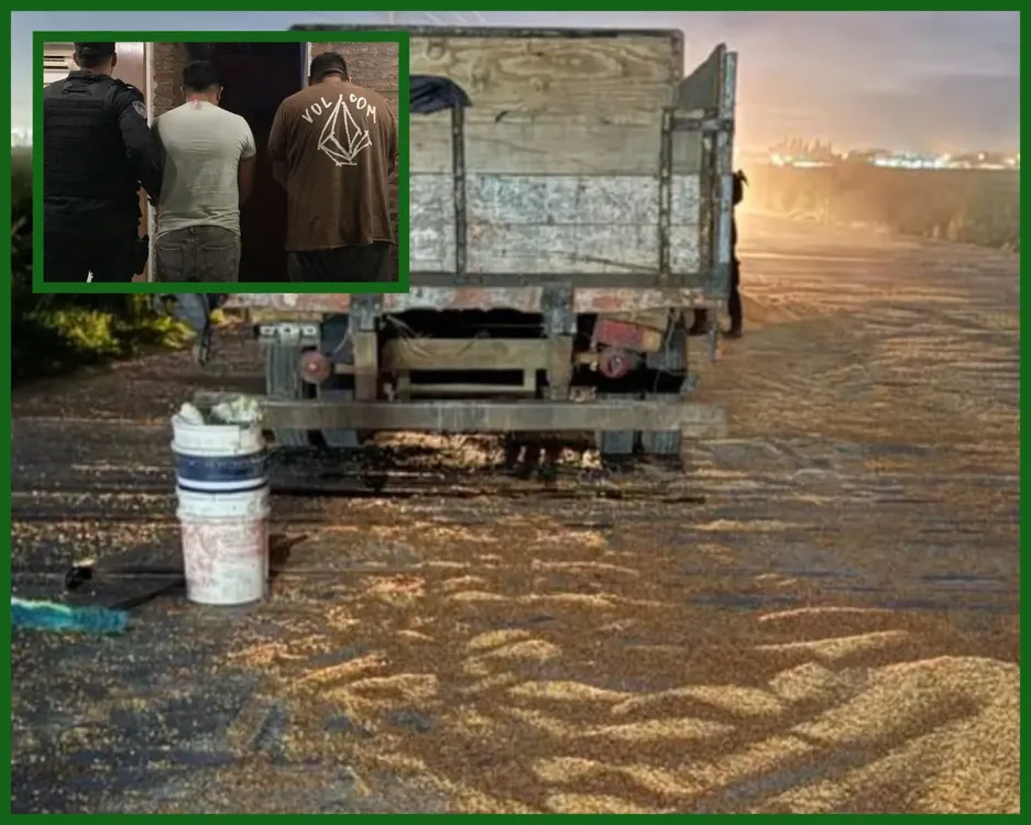 WhatsApp Image 2025-03-11 at 15.04.23