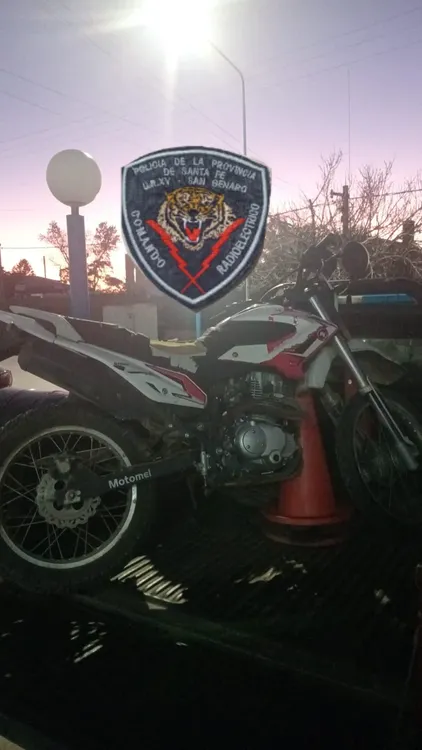 c377c6cc-03f4-4236-9130-4b99fcfcb267 (1)