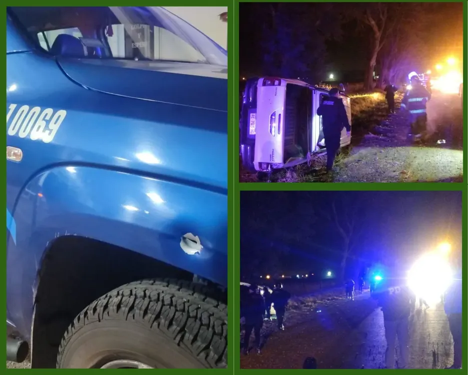 WhatsApp Image 2024-10-02 at 15.38.42