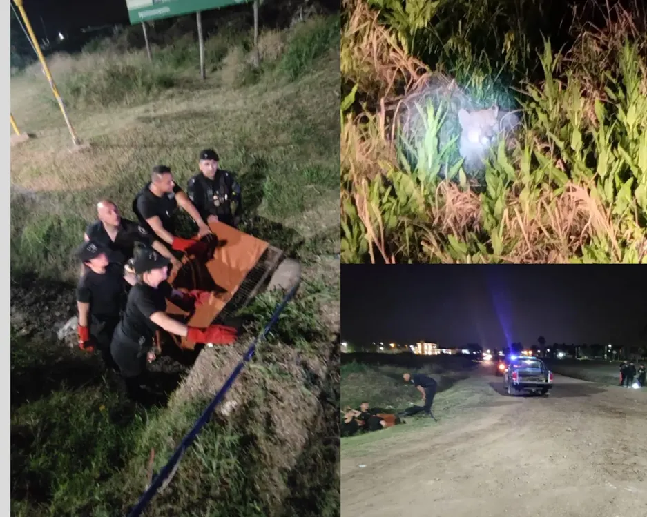 WhatsApp Image 2023-10-22 at 12.53.31