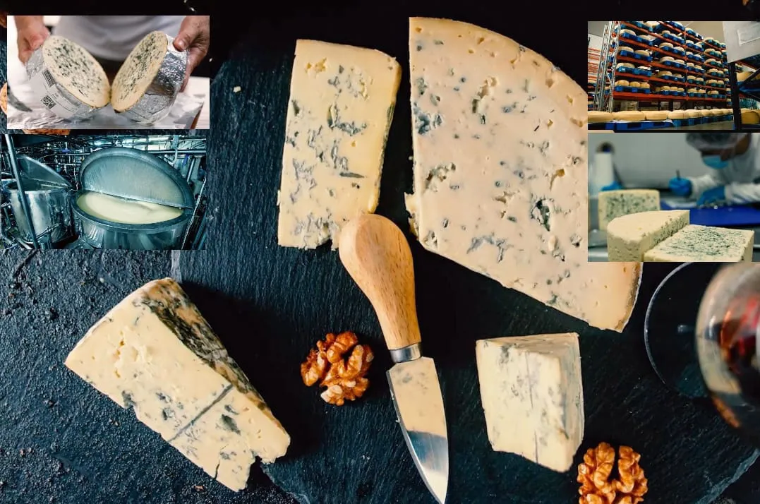 WhatsApp Image 2025-04-26 at 15.35.46