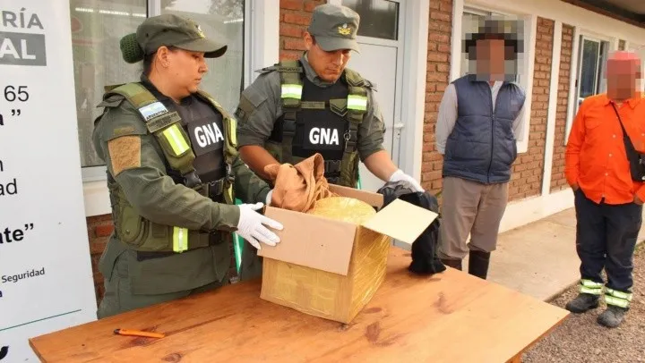 narcotrxfico__entrega_vigilada__detectaron_cocaxna_dentro_de_una_encomienda_6_crop1711922915555.jpg_1833193316