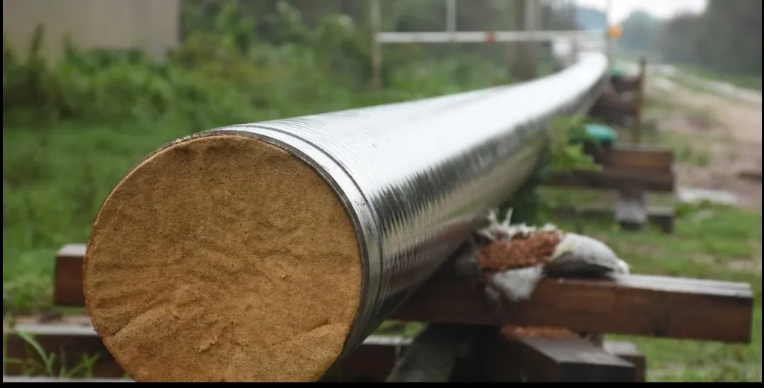 Screenshot_20241109_050045_Chrome