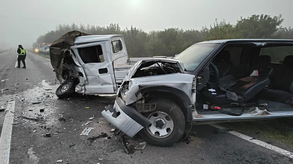 WhatsApp Image 2026-03-12 at 16.30.34