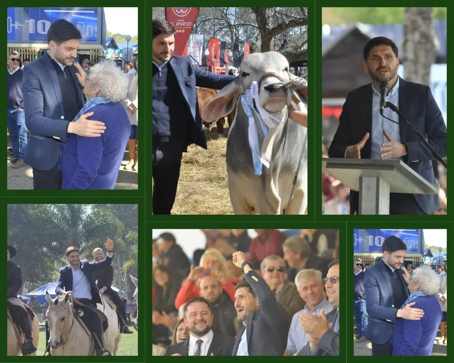 WhatsApp Image 2024-08-11 at 17.34.30