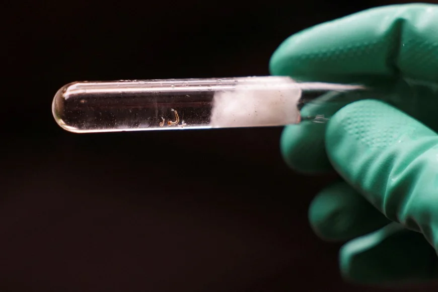 laboratorio dengue