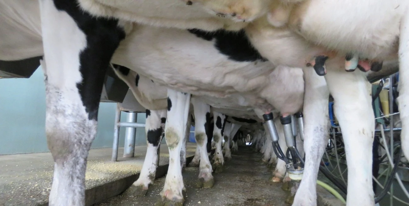 QANW2RUkw_1300x655__1