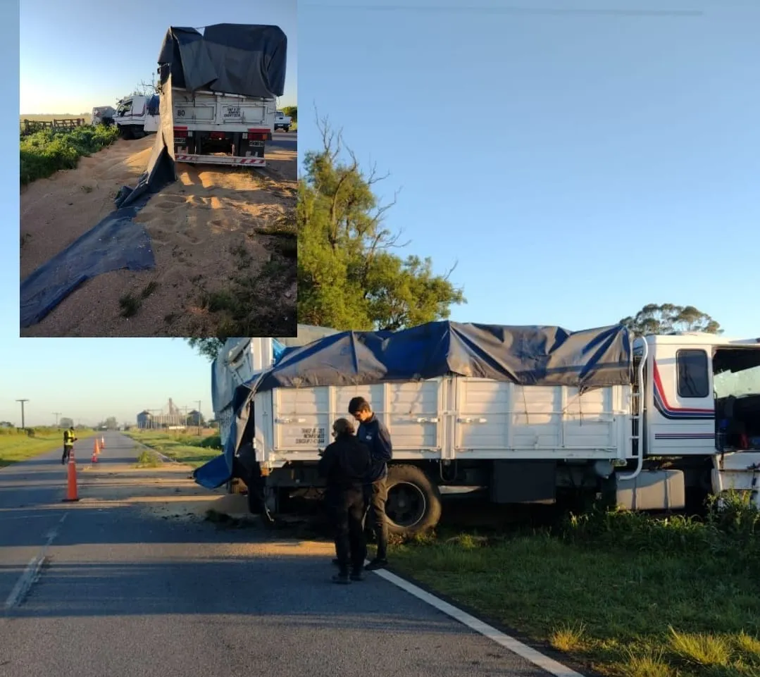 WhatsApp Image 2025-10-18 at 17.25.50