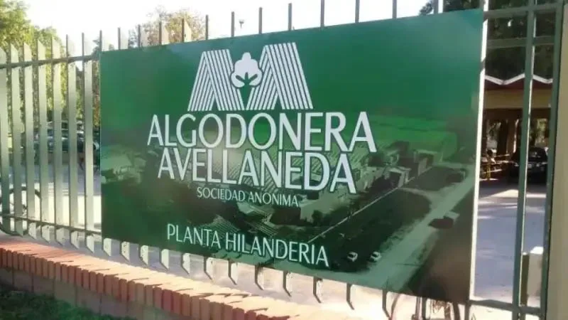 aalgodonnnn-1
