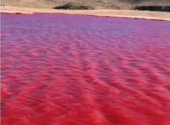 Screenshot_20231115_104544_Facebook