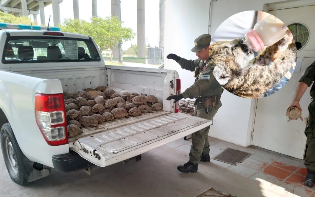 WhatsApp Image 2026-03-28 at 19.06.55 (2)